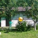 Отзыв про Черешня Ленинградская черная