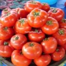 Отзыв про Томат Микадо красный