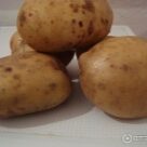 Отзыв про Картофель Невский