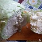 Отзыв про Капуста Номер первый Грибовский 147