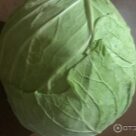 Отзыв про Капуста Три богатыря