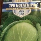 Отзыв про Капуста Три богатыря