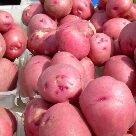 Отзыв про Картофель Утро