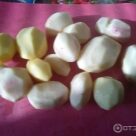 Отзыв про Картофель Жуковский ранний