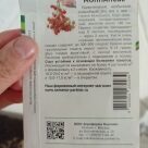 Отзыв про Томат Монпансье