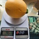 Отзыв про Кабачок Амарил от Ирина