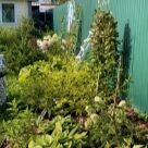 Отзыв про Ива Килмарнок от Наталия