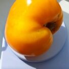 Отзыв про Томат Хурма