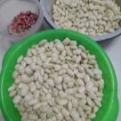 Отзыв про Фасоль Снежная королева