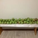 Отзыв про Груша Елена
