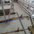 Отзыв про Виноград София