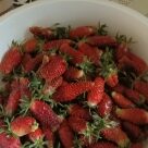 Отзыв про Земклуника Купчиха от Елена, Краснодарский край