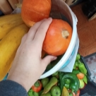 Отзыв про Тыква Сахарная малышка от Омск