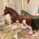 Отзыв про Лошадь Клейдесдаль от Москва