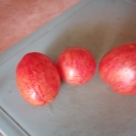 Отзыв про Томат Непас 10 (Непасынкующийся полосатый) от Александр, Краснодарский край