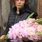 Отзыв про Гладиолус Владивосток от г. Тюмень