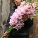 Отзыв про Гладиолус Владивосток от г. Тюмень