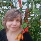 Отзыв про Томат Изящные пальчики от Виктория Евгеньевна Буравцова, Москва