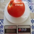 Отзыв про Томат Властелин степей от Ирина, Ставрополье