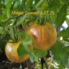Отзыв про Томат Мерк Рокей от Ирина, Ставрополье